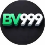 bv999-game